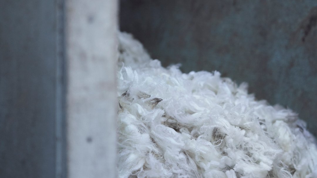 What Is Traceable Merino Wool